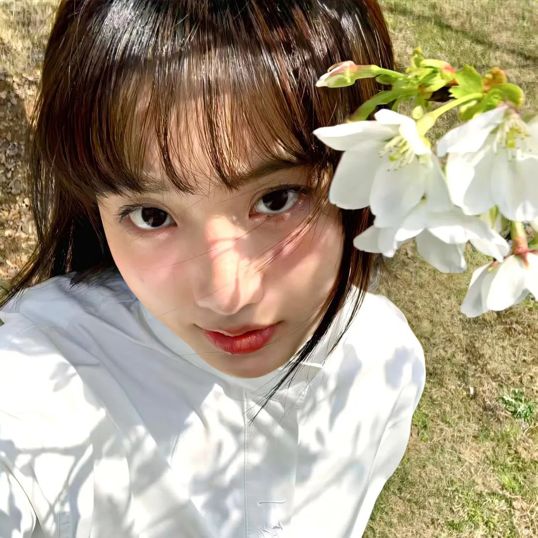 鳄鱼藏尸日记
